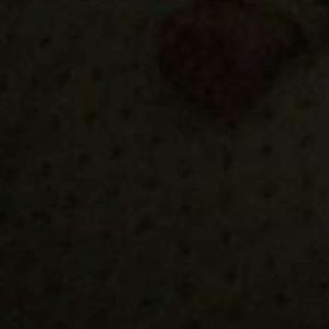 Meet your Posher, Shelby